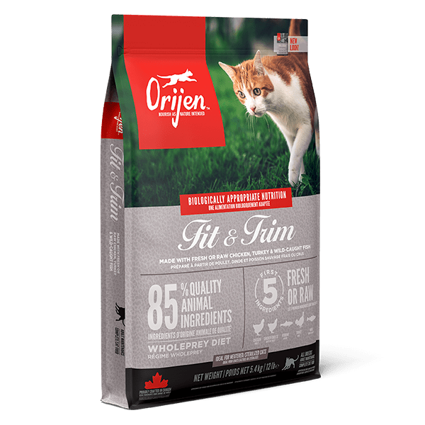 ORIJEN Fit and Trim Cat - front of bag.