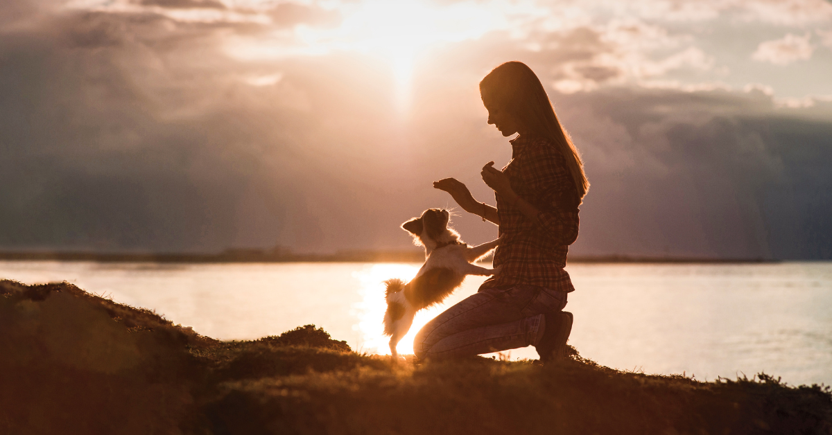 ORIJEN Small Breed Dog Image
