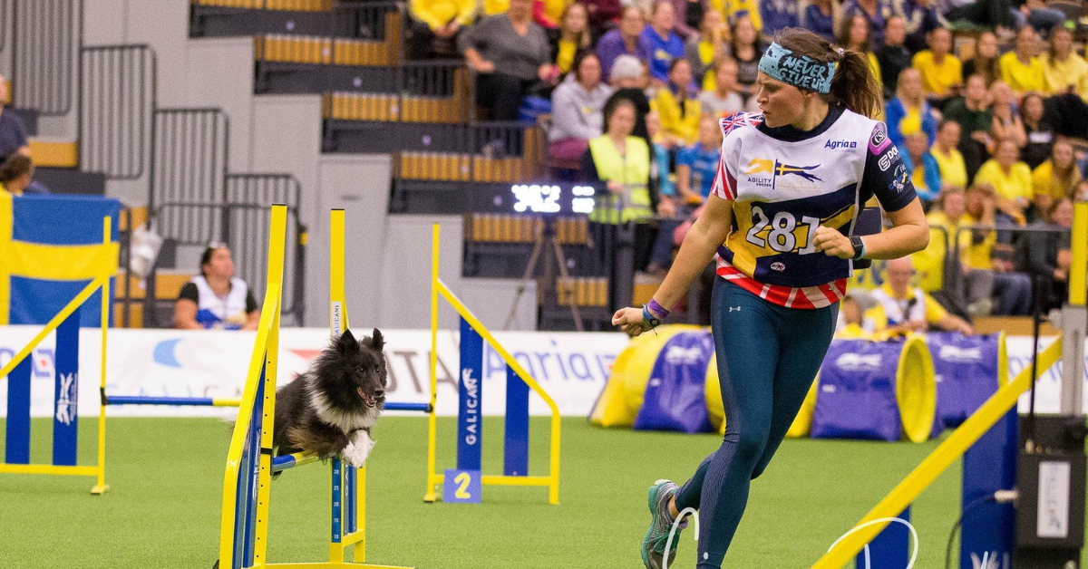 Top five tips for starting agility training