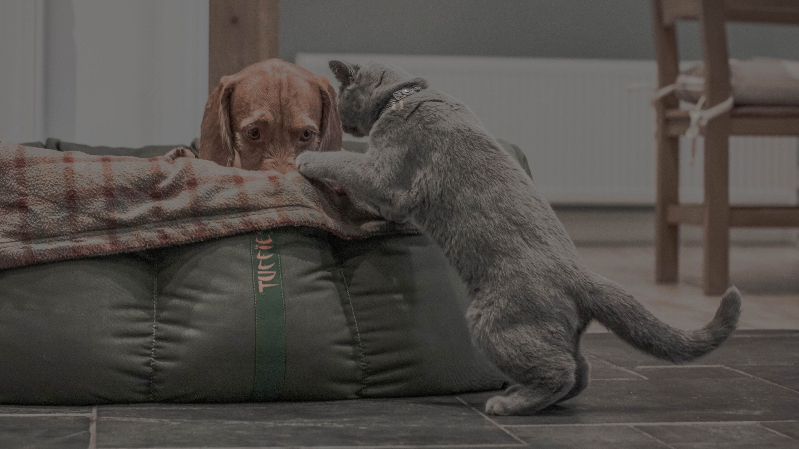 Fireworks season is coming