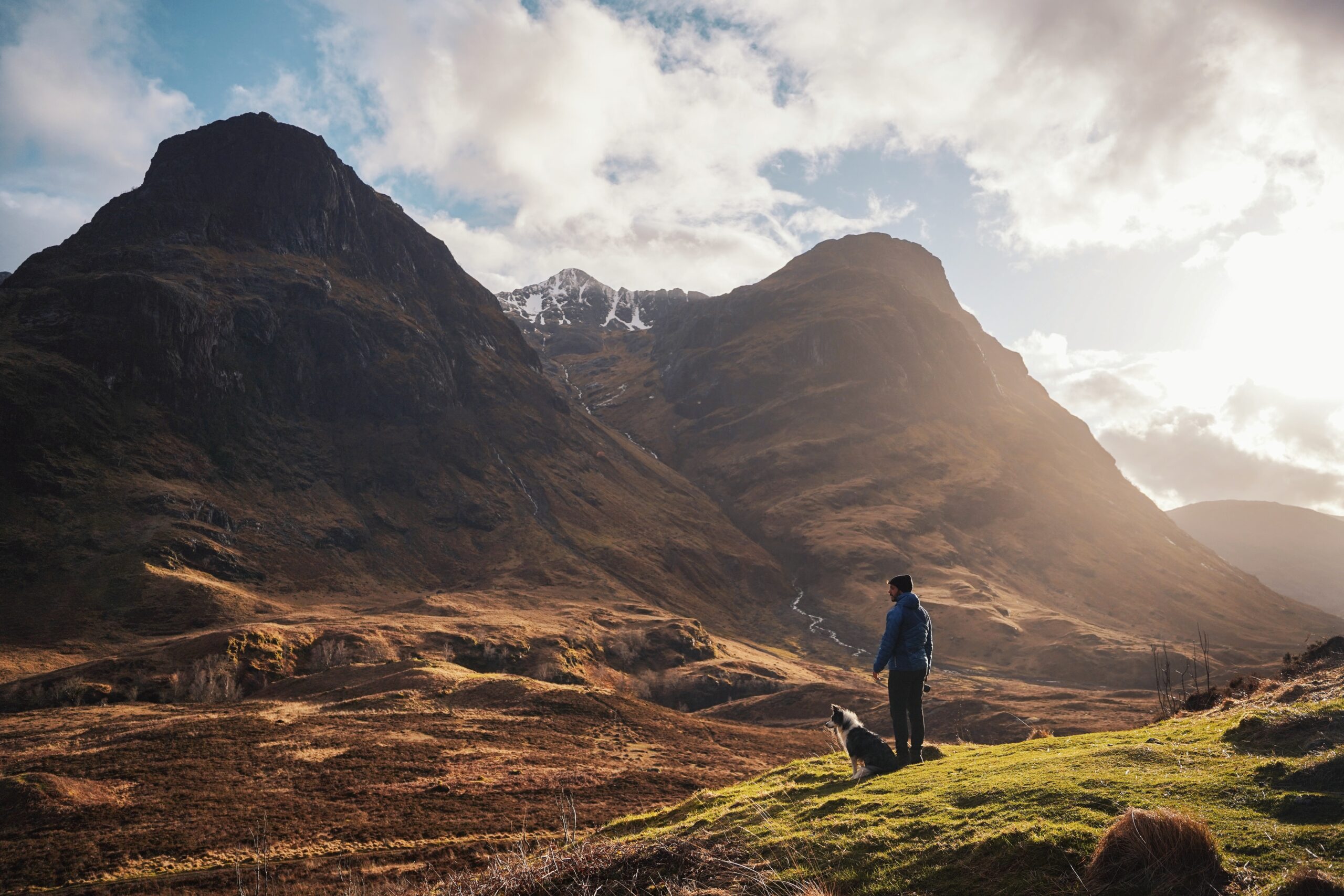 Travelling with pets